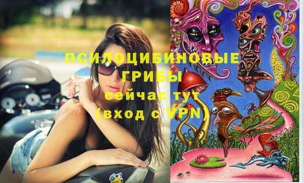 ешки Майский