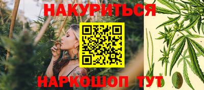 сатива Будённовск