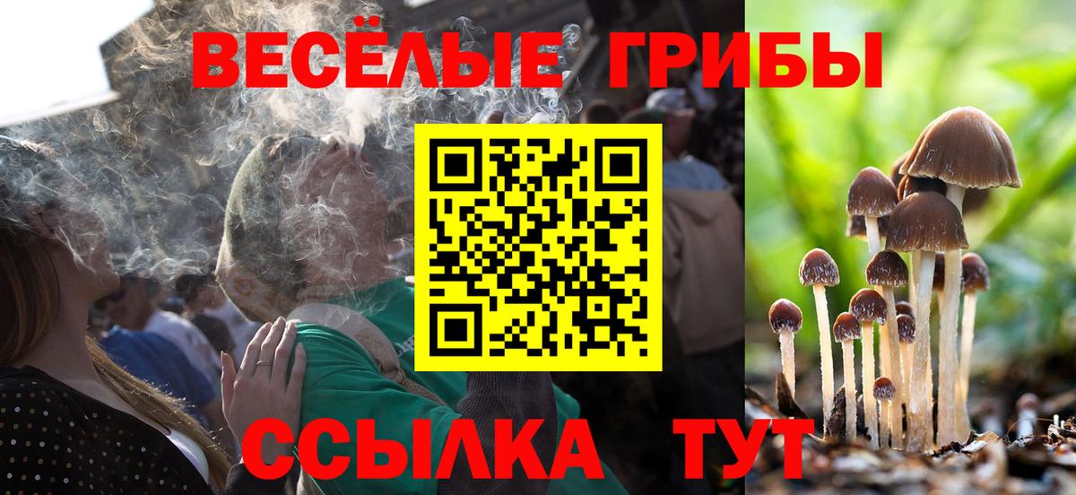 Псилоцибиновые грибы Magic Shrooms  Вход с VPN  как найти наркотики  Сарапул  Псилоцибиновые грибы Magic Shrooms 