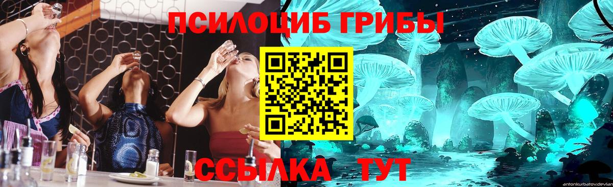 Псилоцибиновые грибы Psilocybine cubensis  Галлюциногенные грибы Cubensis  Сарапул 